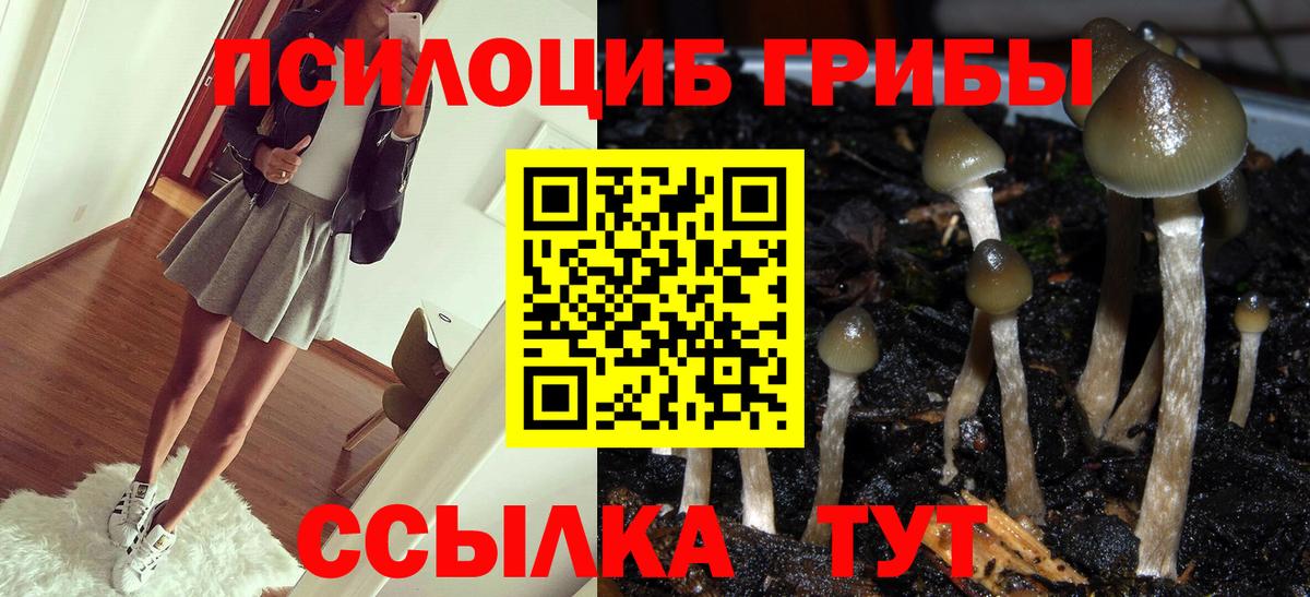что такое наркотик  Галлюциногенные грибы Psilocybe  Вход с VPN  Котельники 